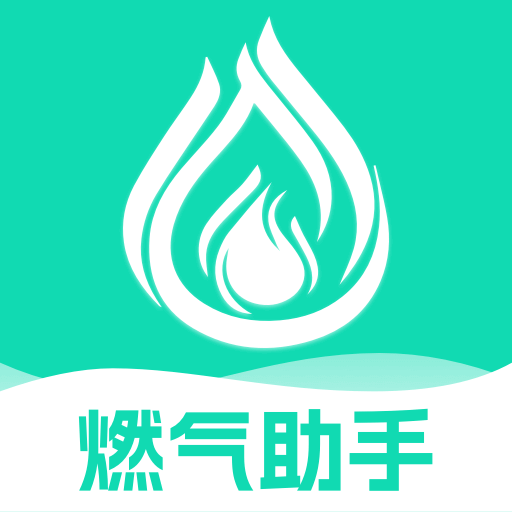 燃气记录费用