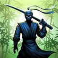 忍者武士：暗影格斗